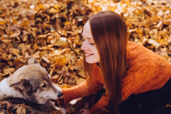 Vacker rödhårig flicka leker med hennes hund på orange löv och leende — Stockfoto