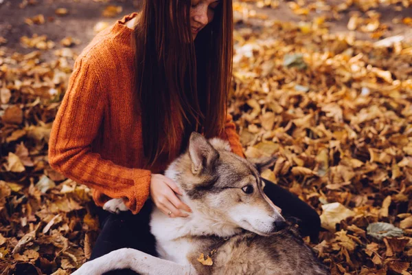 En ung flicka som aktiva promenader med sin stora hund i parken, i en hög med höstens nedfallna löv — Stockfoto