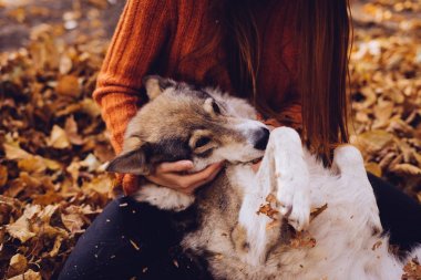 onun büyük köpek parkında sonbahar düşen yapraklar yığını ile etkin bir kız yürüyor