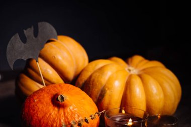 bir ev dekorasyon için halloween, yalan sarı ve turuncu kabak, mum yakmak için bir kompozisyon