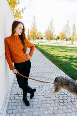 güzel genç Kızıl saçlı kız büyük köpeğini duvara poz ile parkta yürüyüş