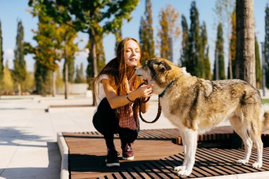 güzel genç Kızıl saçlı kız büyük köpeğini ahşap bir bankta oturan ile parkta yürüyüş