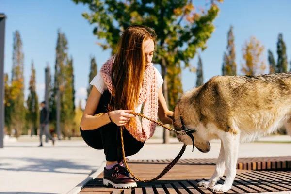 Vacker ung rödhårig flicka promenader i parken med sin stora hund sitta på en träbänk — Stockfoto