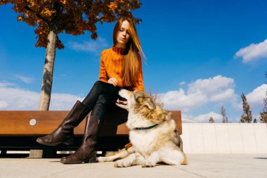 Kızıl saçlı kız büyük köpeğini ahşap bir bankta oturan parkta ile yürüme