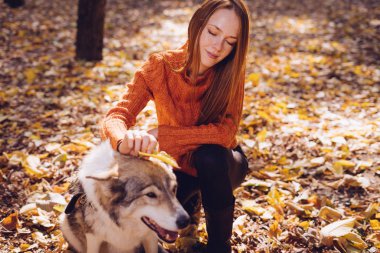 Kızıl saçlı kız büyük köpeğini sonbahar düşmüş bir yığın içinde ile oynarken parkta ile yürüme bırakır