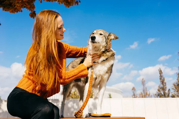 Девушка в оранжевом свитере сидит на скамейке в парке и гладит свою собаку. Хороший теплый осенний день — стоковое фото