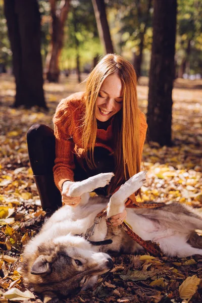 Unga rödhårig flicka promenader med sin stora hund i parken, leka med det i en hög med höst-stupat lämnar — Stockfoto