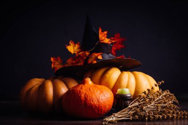 Cadılar Bayramı için bir ev dekorasyon için bir kompozisyon yalan sarı ve turuncu kabak, sarı sonbahar yaprakları ile süslenmiş büyük kara cadı şapka