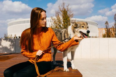 genç seksi Kızıl saçlı kız ile ahşap bir bankta oturan parkta onun köpek yürüyüş