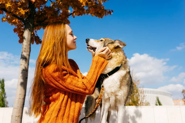 青空をバックに座って、公園で彼女の犬を連れて歩いてセクシーな赤毛の少女 — ストック写真