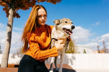 Genç şirin Kızıl saçlı kız ile ahşap bir bankta oturan parkta onun köpek yürüyüş