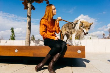 Genç şirin Kızıl saçlı kız ile ahşap bir bankta oturan parkta onun köpek yürüyüş