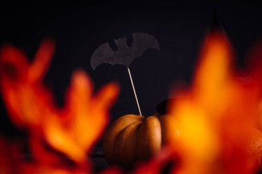 Cadılar Bayramı için bir ev dekorasyon için kompozisyon yalan sarı ve turuncu kabak, çizimler siyah yarasa