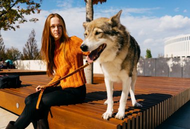 Genç şirin Kızıl saçlı kız ile ahşap bir bankta oturan parkta onun köpek yürüyüş