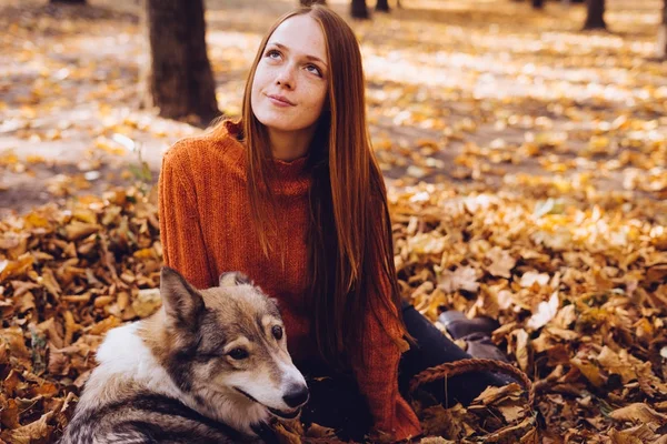 Ung söt rödhårig flicka promenader med sin hund i parken, sitter i en hög med fallna höstlöv — Stockfoto