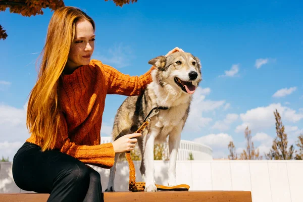 Kızıl saçlı kız büyük gri köpeğini mavi gökyüzüne karşı oturma parkta ile yürüme