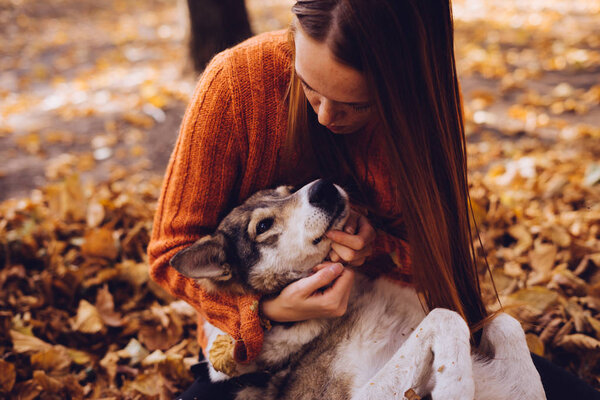 a young red-haired girl is walking with her big gray dog in the park, in a pile of autumnal fallen leaves