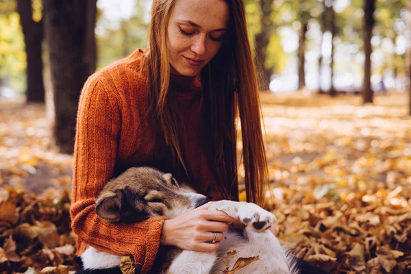 Uma menina ruiva nova está andando com seu cão cinzento grande no parque, em uma pilha de folhas caídas outonais — Fotografia de Stock