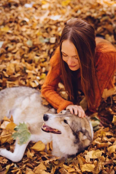 En ung rödhårig flicka går med sin stora grå hund i parken, i en hög med höstens nedfallna löv — Stockfoto