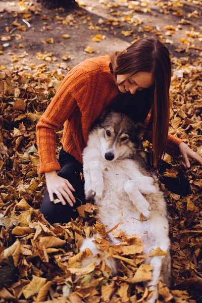 Flicka vilar i en park på hösten med sin hund — Stockfoto