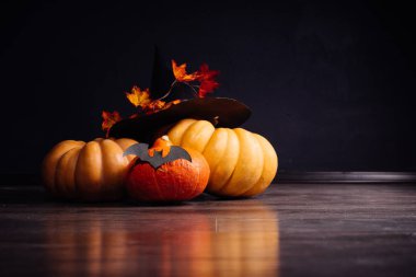 bir kaç küçük kabak bir Cadılar Bayramı dekorasyon formu