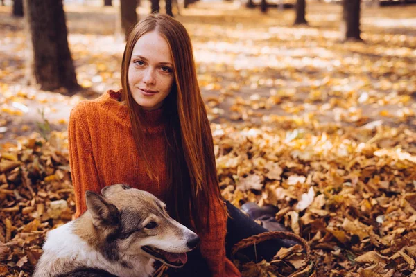 Menina encontra-se em um parque em folhas caídas com seu cão olhando para a frente — Fotografia de Stock