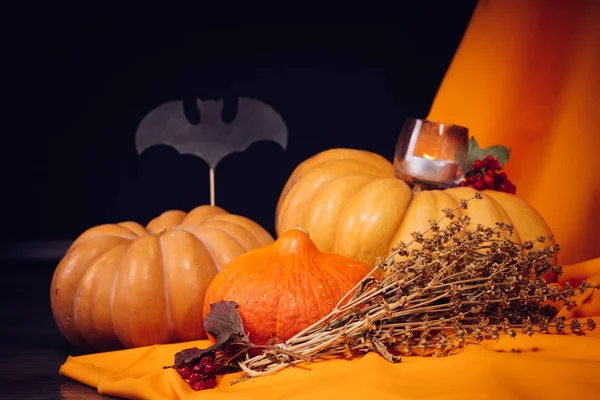 Algumas grandes abóboras no cenário para o Halloween — Fotografia de Stock