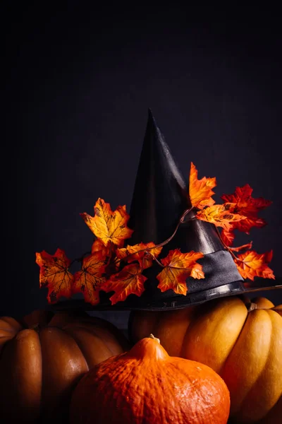 Grote pompoen van Halloween, heks hoed met gevallen herfstbladeren ligt op een pompoen. Achtergrond van Halloween, Halloween stijl, party — Stockfoto