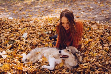 şık bir turuncu kazaklı genç güzel kızıl saçlı kız köpeğini düşen sonbahar yaprakları etrafında park ile yürüyor
