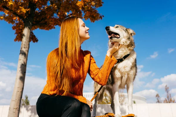 Молодая красивая рыжая девушка в модном оранжевом свитере гуляет со своей собакой в парке и выглядит счастливой — стоковое фото