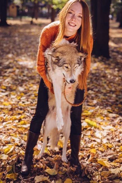 Ung vacker rödhårig flicka i fashionabla orange tröja promenader med sin hund i parken, runt de fallna höstlöv — Stockfoto