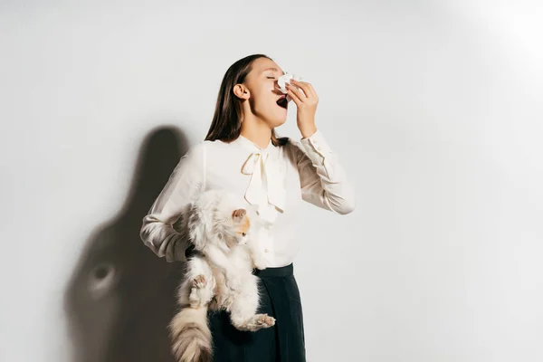 Jovem bela menina feliz segurando um grande gato fofo branco em suas mãos e espirrando porque ela é alérgica — Fotografia de Stock