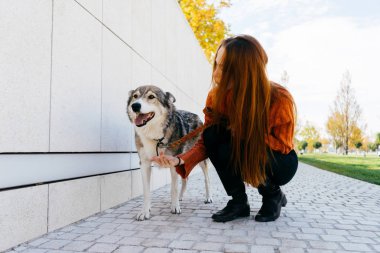 genç güzel kızıl saçlı kız ile onun büyük gri köpek parkta yürüyüş