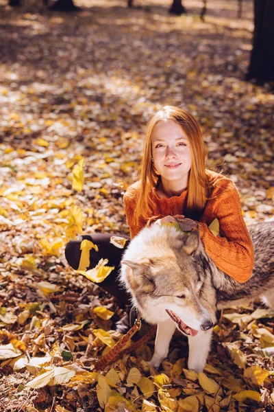 Unga vackra rödhåriga flickan gå med hennes stora grå hund i parken, runt fallna hösten lämnar — Stockfoto