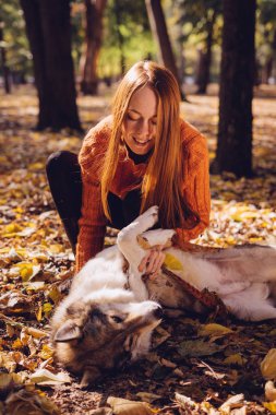 şık kazaklı genç mutlu Kızıl saçlı kız büyük gri köpeğini düşen sonbahar yaprakları etrafında park ile yürüyor