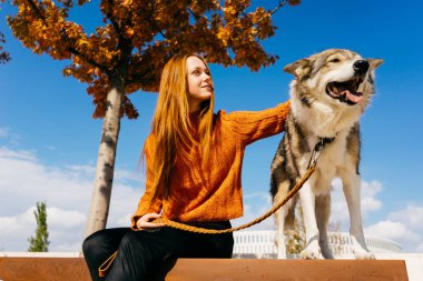 ile onun büyük gri köpek parkta yürüyüş şık kazaklı genç mutlu Kızıl saçlı kız
