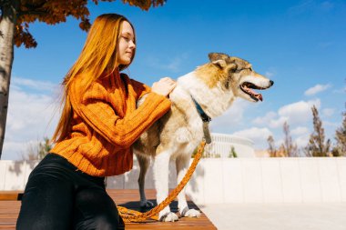 şık kazaklı genç güzel kızıl saçlı kız köpeğini, mavi gökyüzü ile parkta yürüyor