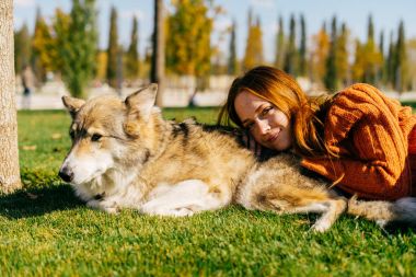 şık kazaklı genç güzel kızıl saçlı kız köpeğini, çevresinde yeşil çim ile parkta yürüyor