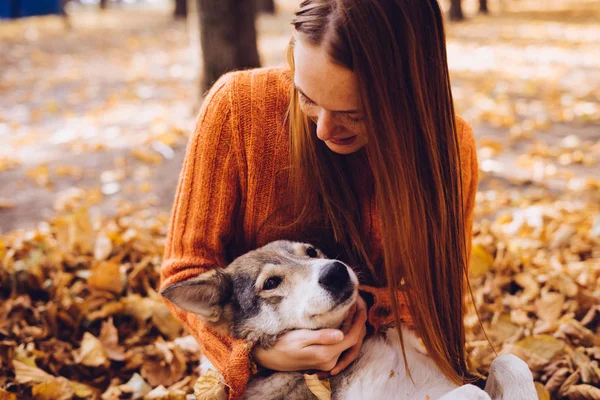 Ung vacker rödhårig flicka i fashionabla tröja promenader i parken med sin hund, runt de fallna höstlöv — Stockfoto