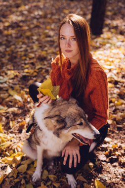 şık bir turuncu kazaklı genç güzel kızıl saçlı kız büyük köpeğini düşen sonbahar yaprakları etrafında park ile yürüyor