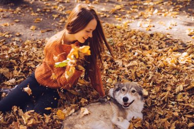 şık bir turuncu kazaklı genç güzel kızıl saçlı kız büyük köpeğini düşen sonbahar yaprakları etrafında park ile yürüyor