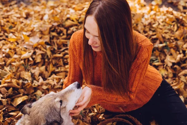 Uma jovem linda menina ruiva em uma camisola laranja na moda está andando com seu grande cão no parque, em torno das folhas de outono caídas — Fotografia de Stock