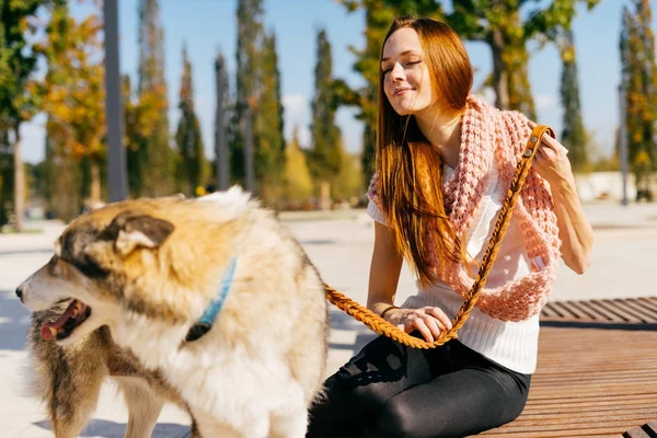 ile onun büyük köpek parkta yürüyüş moda pembe eşarp genç güzel kızıl saçlı kız