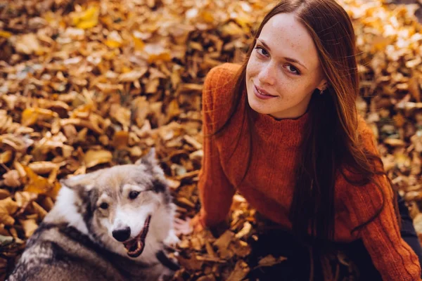 şık bir turuncu kazaklı genç güzel kızıl saçlı kız büyük köpeğini düşen sonbahar yaprakları etrafında park ile yürüyor