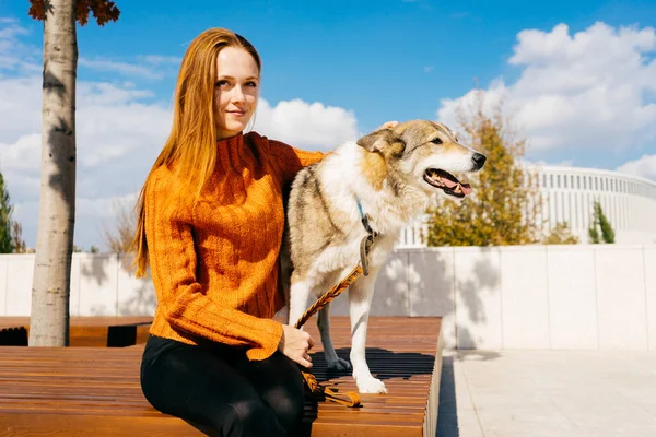 trendy bir turuncu kazaklı genç güzel kızıl saçlı kız büyük köpeğini Park ile yürüyor