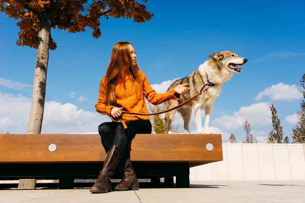 trendy bir turuncu kazaklı genç güzel kızıl saçlı kız büyük köpeğini Park ile yürüyor