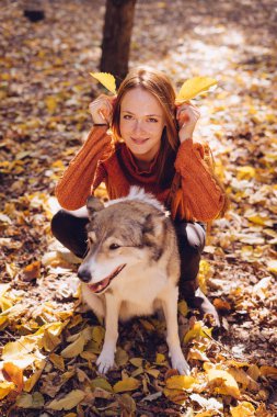 trendy bir turuncu kazaklı genç güzel kızıl saçlı kız köpeğini sonbahar düşen yapraklar çevresinde Park ile yürüyor