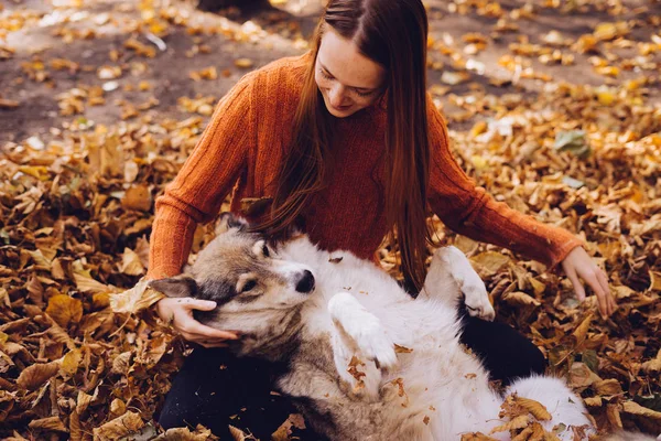 Ung vacker rödhårig flicka i trendiga orange tröja promenader med sin hund i parken, runt fallna höstlöv — Stockfoto