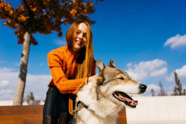trendy bir turuncu kazaklı genç güzel kızıl saçlı kız parkta onun köpek ile yürüyor