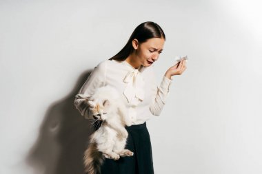  güzel bir genç kız büyük bir beyaz kabarık kedi onun elinde tutan ve hayvanlara alerjisi olduğu için hapşırma